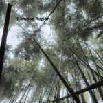 bamboo region