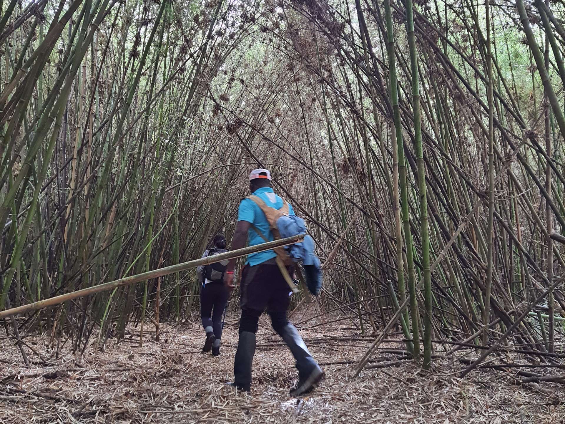 hikers along the burguret route to mount kenya summit. hike organized by hikers arena